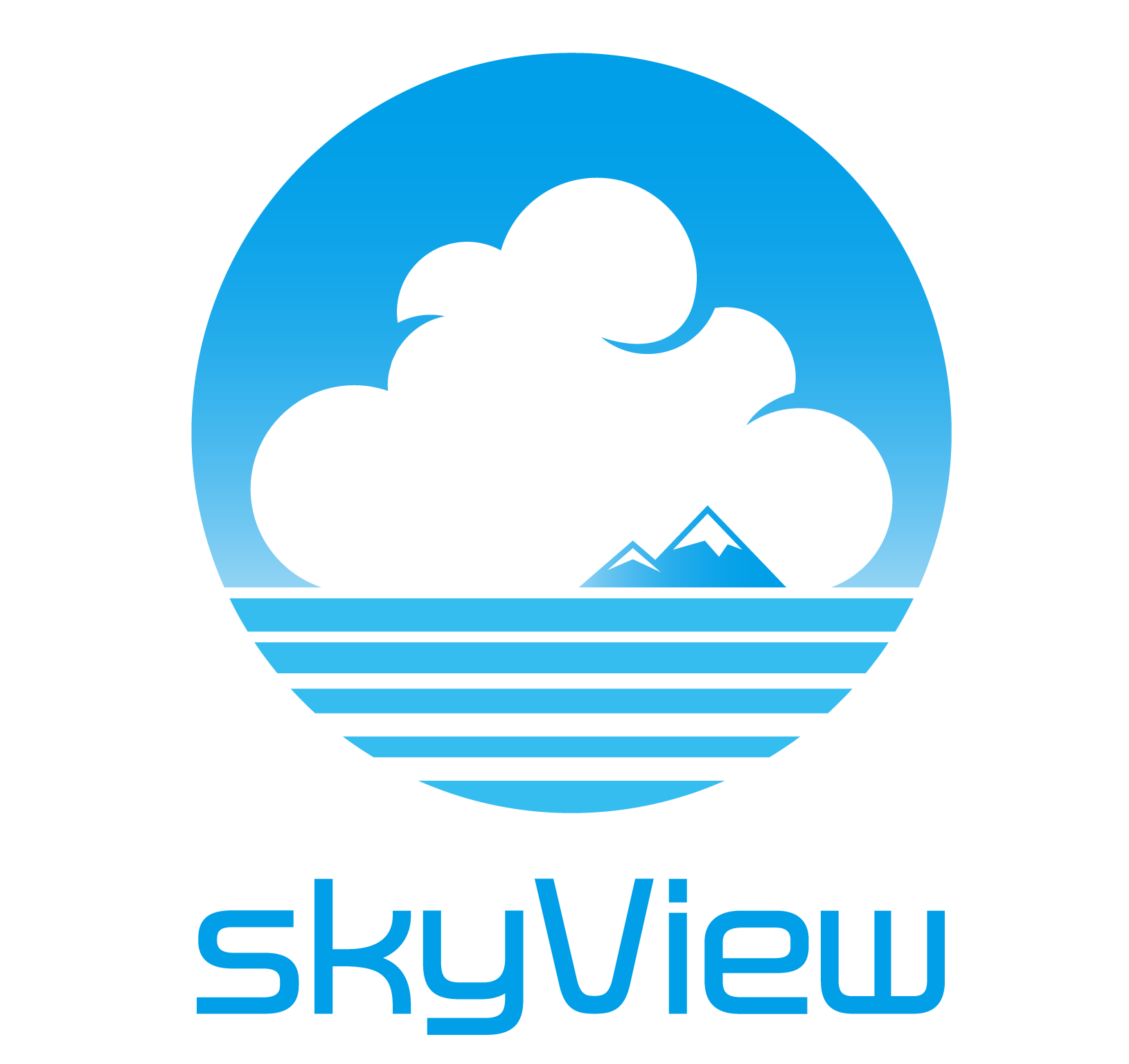 skyView